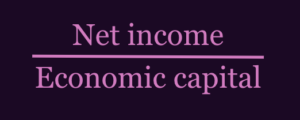 What is risk-adjusted return on capital